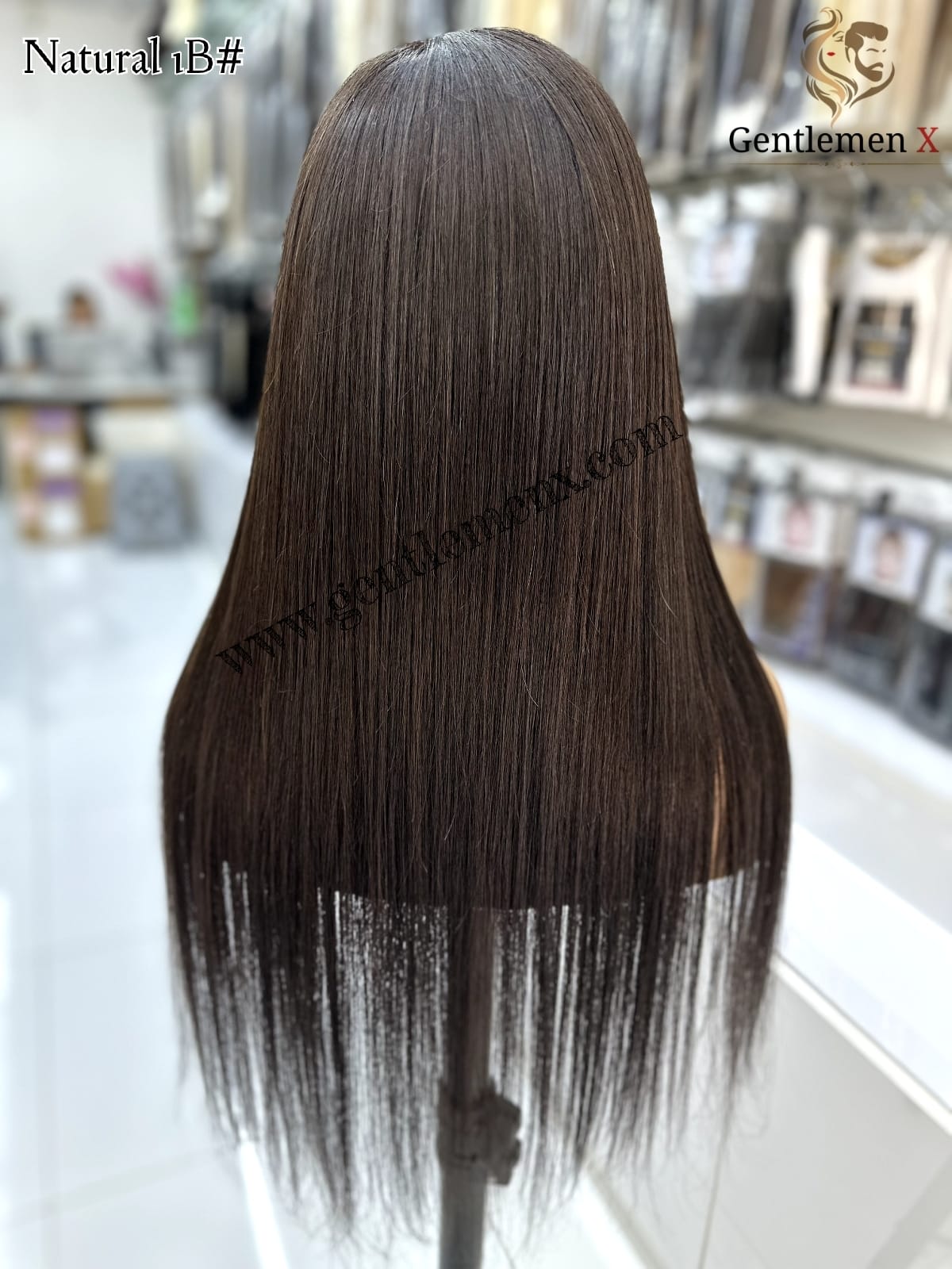 Arnomeda 4X4 Silk Base 100% Remy Human Hair Lace wig